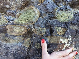 Xenoliths at Elephant Butte
